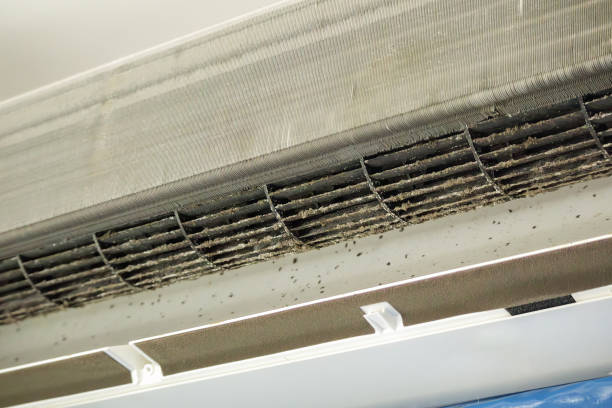 Best Air Duct Mold Removal  in Manning, SC